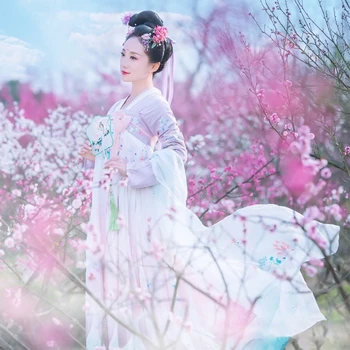 Tradičné Čínske Oblečenie Pre Ženy, Elegantné Víla Princezná Hanfu Výšivky Orientálna Tang Oblečenie Dávnych Fotografie Šaty