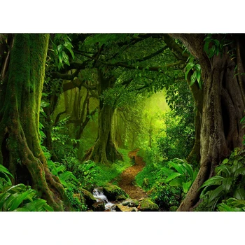 Tropický Prales Jungle Green Prírodná Scenéria Dieťa Portrét Scény Pozadie Fotografie Pozadia Pre Photo Studio Photophone