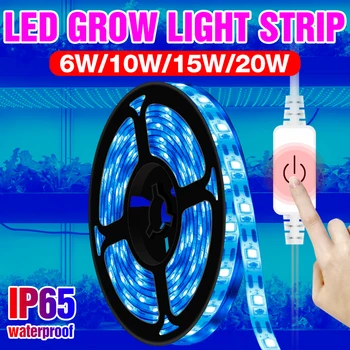 USB 5V Rásť Svetlo LED celé Spektrum Rast Rastlín Lampa Pásky 0,5 M 1M 2M 3M Vodotesné Phyto Lampa LED Flower Sadeníc Fito Svetlá