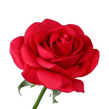 Vysoko Kvalitný Sklenený Kryt Červené Ruže Kvet LED Reťazec Svetlo Drevený Základ pre Romantického Valentína Darček k Narodeninám Napájaný z Batérií