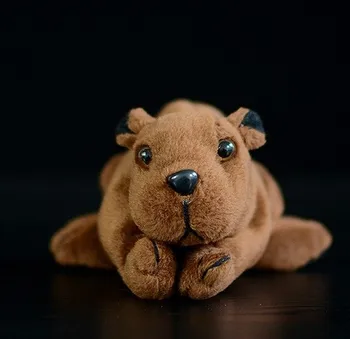 Zadarmo shiping nové 14 cm malý beaver bábika simulácia bobra plyšové hračky pre malé deti darček