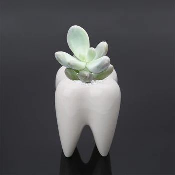 Zub Tvar Keramické kvetináče Zelené, Šťavnaté Kvetináč Kaktus Kontajner Dekor J78C