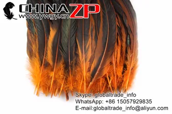Č.1 Dodávateľ CHINAZP Factory 100ks/veľa 25-30 cm(10-12inch) Dĺžka DIY Dekorácie Časť Farbené Orange Kohút Chvostové Perá