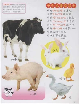 Čínska Tradičná Príbeh Knihy Pre Deti veku 1 , knihy pre Deti Naučiť Hanzi a zvierat ,tiché knihy