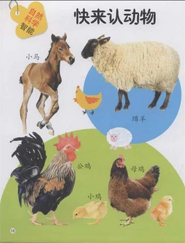 Čínska Tradičná Príbeh Knihy Pre Deti veku 1 , knihy pre Deti Naučiť Hanzi a zvierat ,tiché knihy