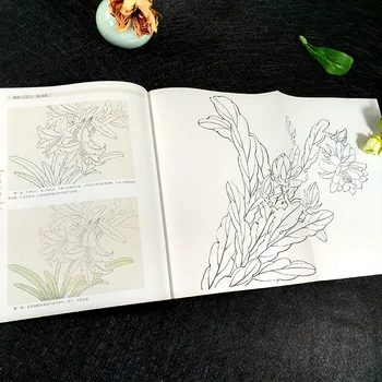 Čínske tradičné gongbi kvet maľovanie knihy -- Čínsky huapu knihy : Starostlivou kvety ,2 knihy/set